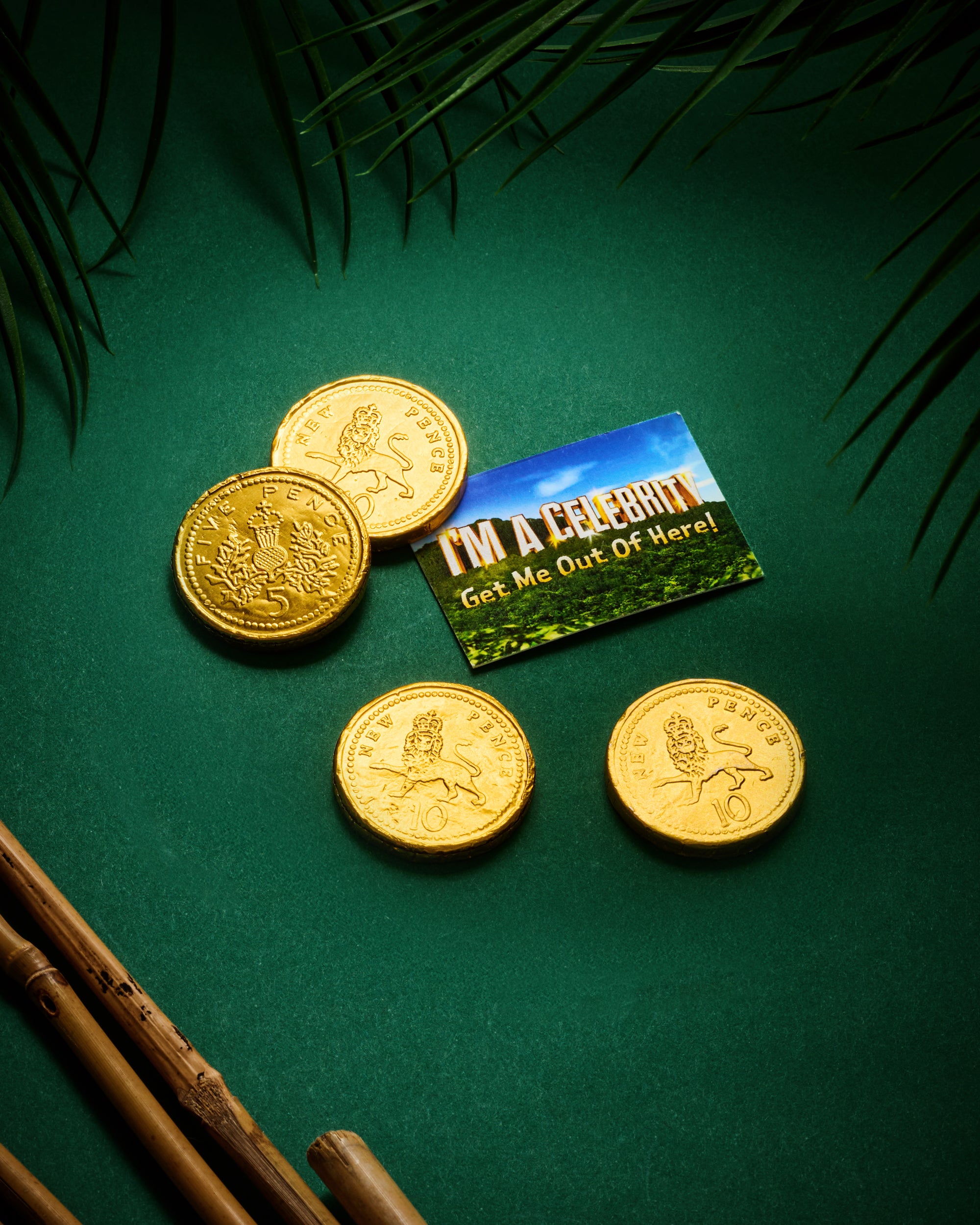 I'm a Celebrity Chocolate Coins